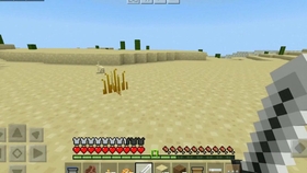 我的世界最新版，探索無(wú)限，創(chuàng)新無(wú)限可能